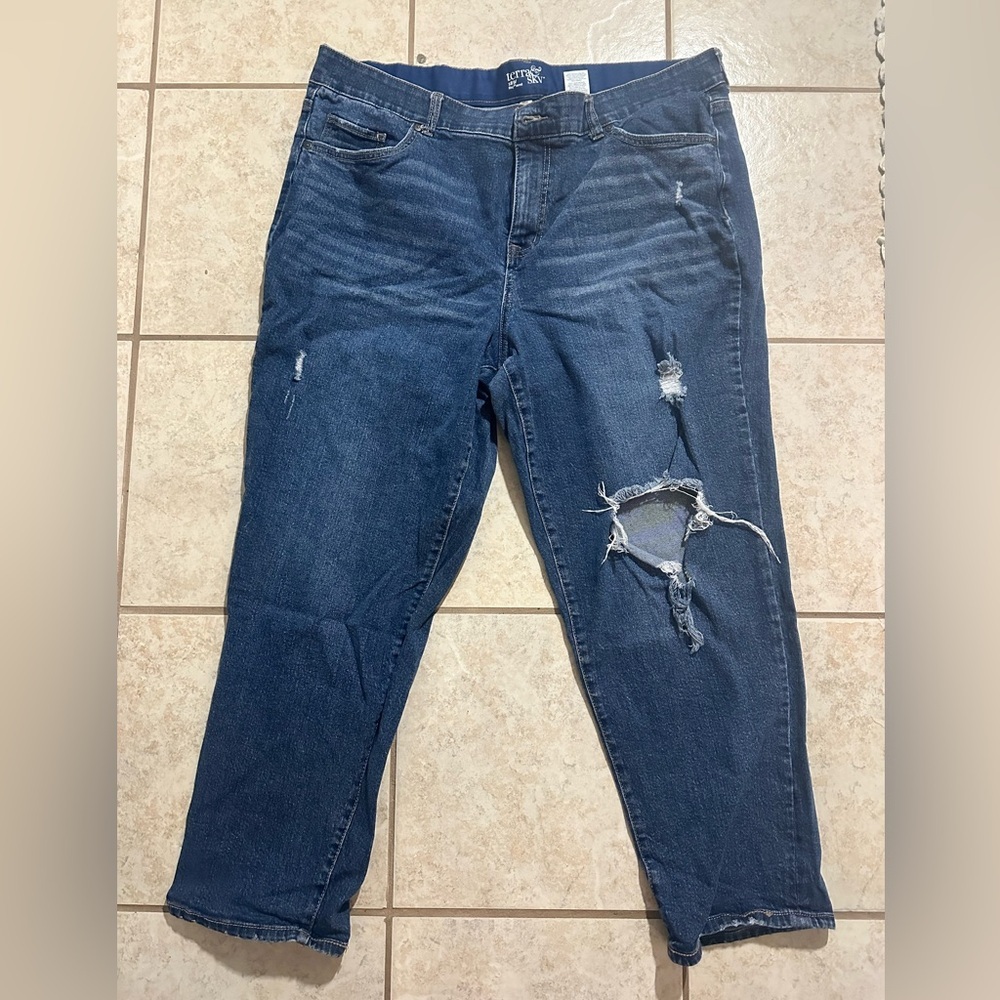 Terra & Sky Distressed Boyfriend Jeans